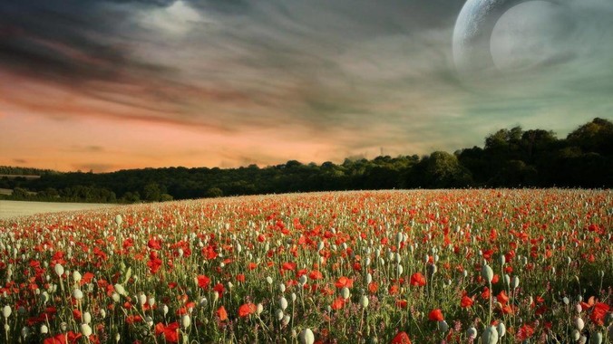 在大型项目上,J***aScript 是个烂语言吗?